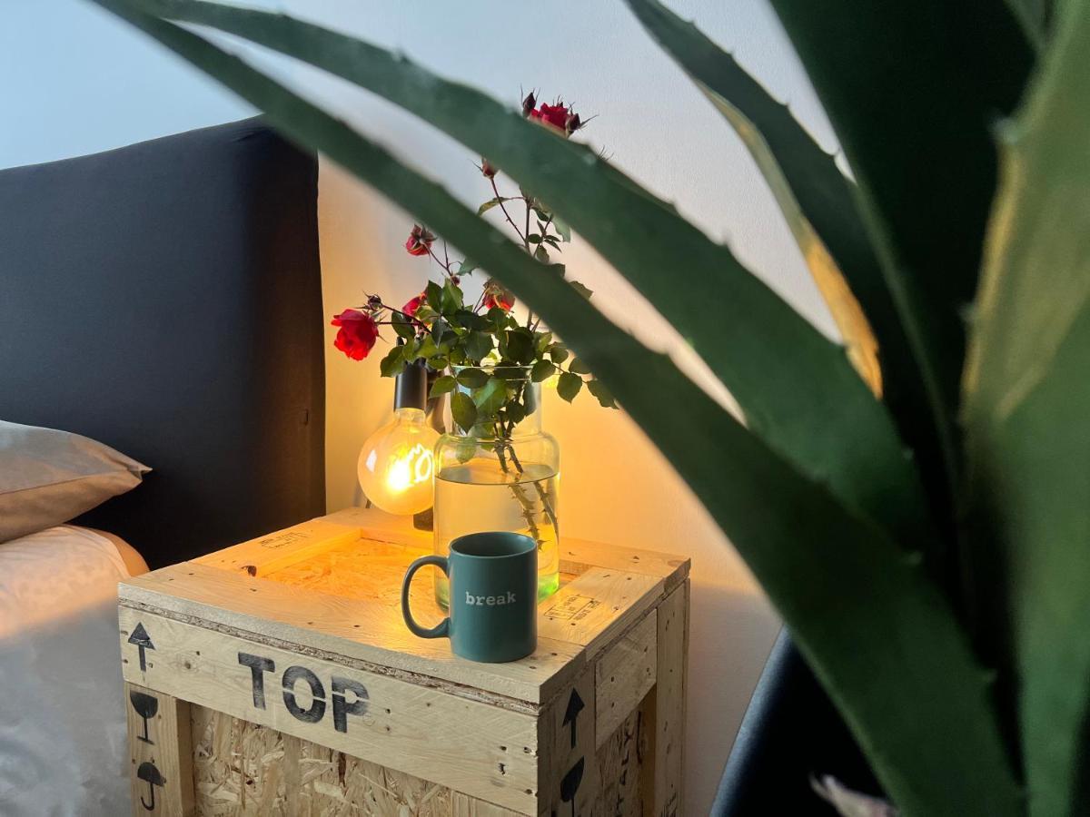 Appartamento Nuovissimo: La Casa Bolognese — Foto 1
